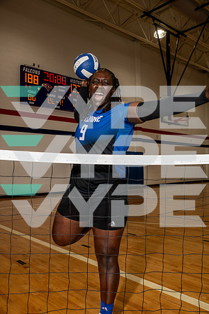 ALDINE_VB_0242-(BROWN)