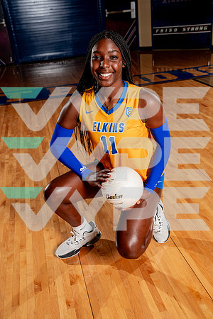 ELKINS_VB-(COLLIER)-43