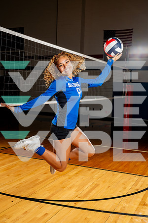 ALDINE_VB-(COLLIER)-19
