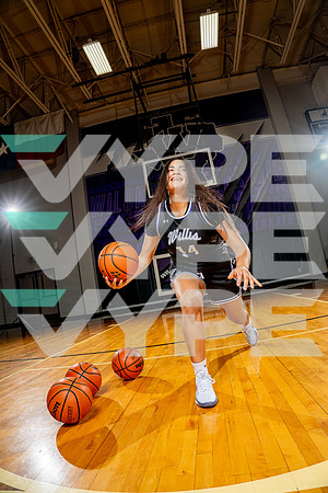 WILLIS_GBB-(BCC)-00221