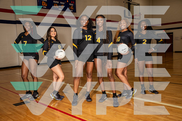 EISENHOWER_VOLLEYBALL_0143-(BROWN)