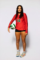 0F9A0119-WOODLANDS_VOLLEYBALL-(BROWN)