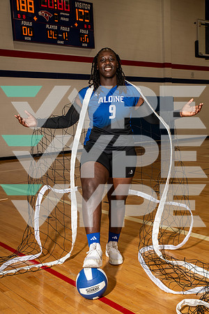 ALDINE_VB_0240-(BROWN)