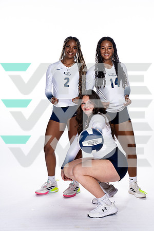 KLEIN COLLINS_VB-(COLLIER)-86