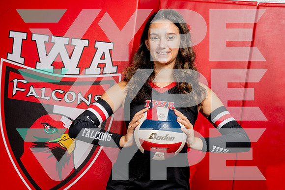 IWA_VB-(COLLIER)-10