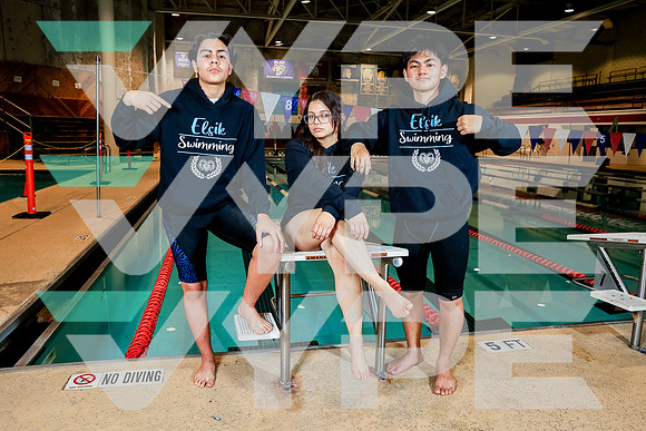 ELSIK_SWIM-(BROWN)-2698