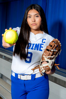 ALDINE_SFBL-(COLLIER)-00181