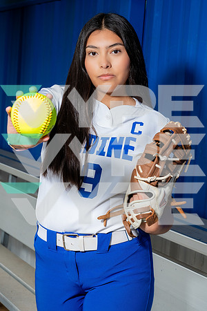 ALDINE_SFBL-(COLLIER)-00181