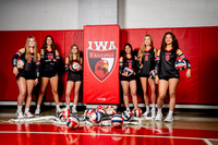 IWA_VB-(COLLIER)-5