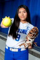 ALDINE_SFBL-(COLLIER)-00178