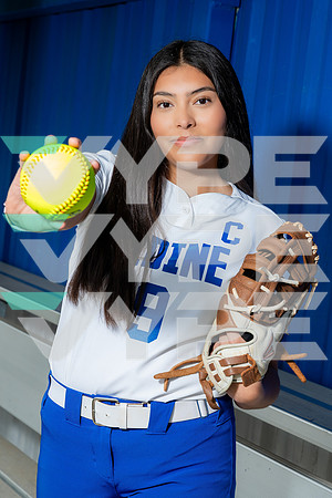 ALDINE_SFBL-(COLLIER)-00178