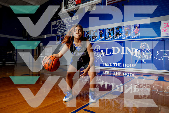 ALDINE_GBB-(BROWN)-350