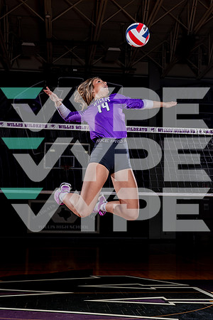WILLIS_VB-(COLLIER)-62