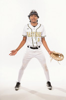 HASTINGS_BSBL-(WRIGHT)-2000