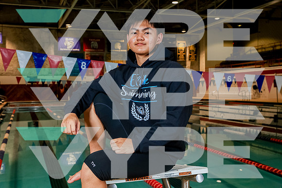 ELSIK_SWIM-(BROWN)-2683