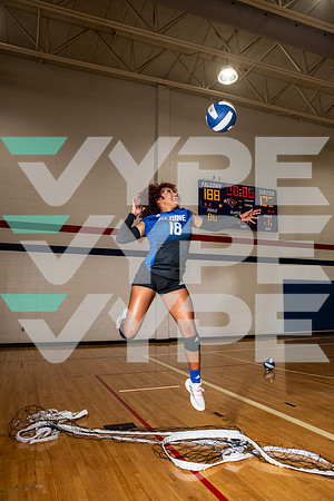 ALDINE_VB_0275-(BROWN)