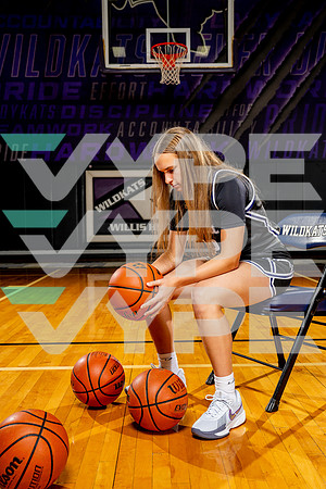 WILLIS_GBB-(BCC)-00188