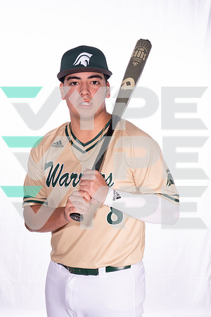 TWCA_SPRING_BSBL_GRAPHICS_159-(VYPE)