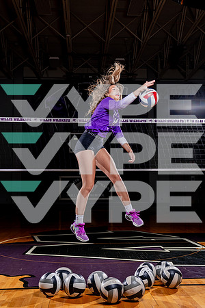 WILLIS_VB-(COLLIER)-61