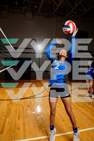 ALDINE_VB-(COLLIER)-30