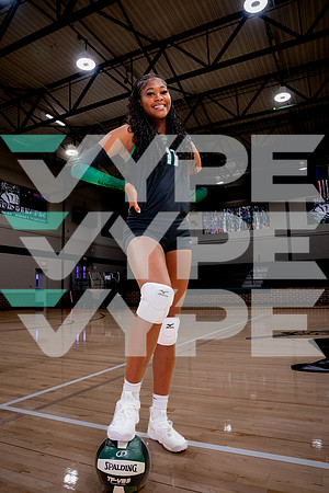 RUDDER_VB-(HINSON)-27