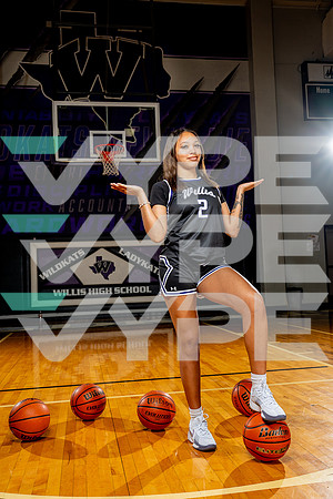WILLIS_GBB-(BCC)-00166
