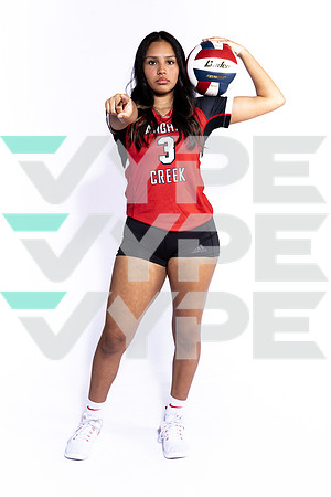 LANGHAM CREEK_VB-(BROWN)-3