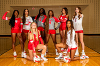 Volleyball