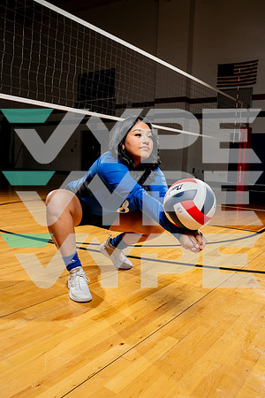 ALDINE_VB-(COLLIER)-8