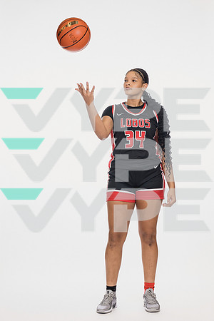 LANGHAM_CREEK_GBB-(COLLIER)-00515