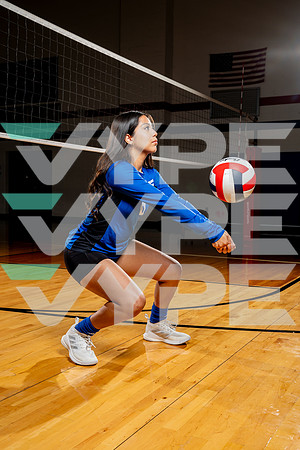 ALDINE_VB-(COLLIER)-14