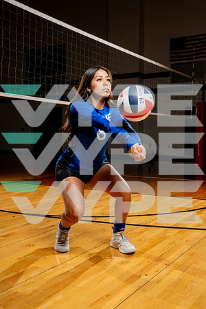 ALDINE_VB-(COLLIER)-16