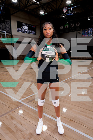 RUDDER_VB-(HINSON)-10