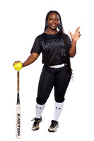 LAMAR_CONSOLIDATED_SFBL_1-(BROWN)-00003124