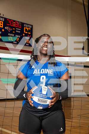 ALDINE_VB_0244-(BROWN)