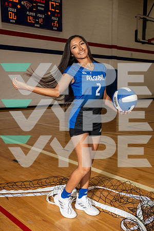 ALDINE_VB_0267-(BROWN)