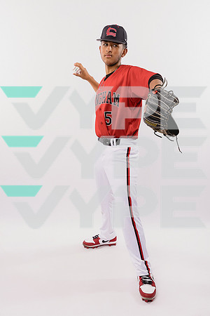 LANGHAM CREEK_BSBL-(BROWN)-240