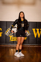 Volleyball