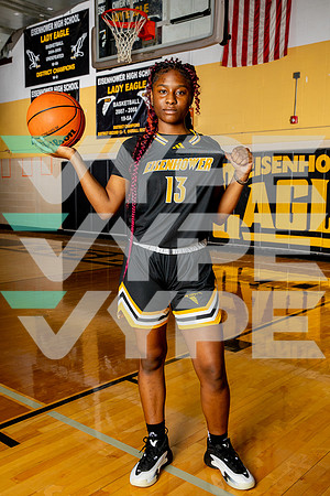 EISENHOWER_GBB-(BROWN)-275