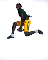 KLEIN FOREST_FB-(COLLIER)-21