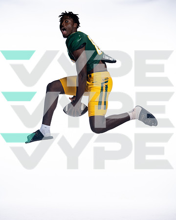 KLEIN FOREST_FB-(COLLIER)-21