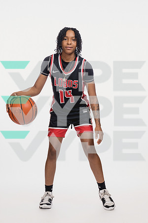 LANGHAM_CREEK_GBB-(COLLIER)-00353