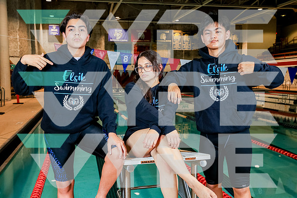 ELSIK_SWIM-(BROWN)-2700