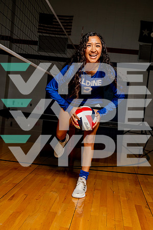 ALDINE_VB-(COLLIER)-41