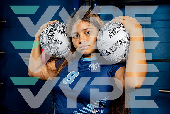 ELSIK_GSOC-(BROWN)-2808