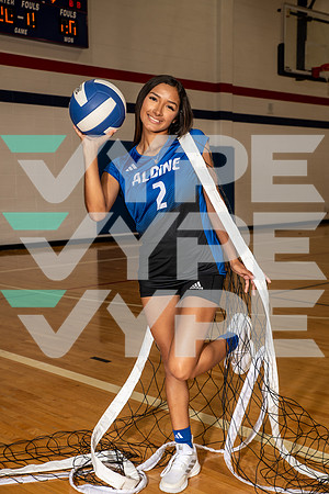 ALDINE_VB_0262-(BROWN)