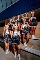 BRYAN_CHEER-(COLLIER)-1
