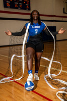 ALDINE_VB_0241-(BROWN)