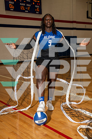 ALDINE_VB_0241-(BROWN)