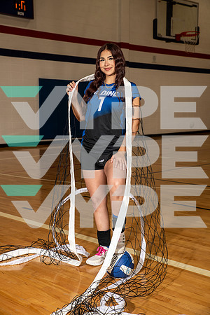 ALDINE_VB_0227-(BROWN)
